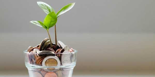 Energy-Efficient Appliances Every Modern Kitchen Should Have