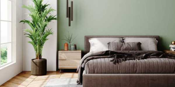 12 Best Plants to Keep in Your Bedroom for Better Sleep