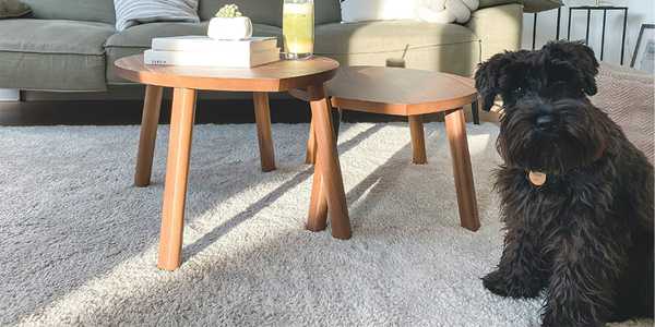 How Much Does Carpet Replacement Cost in 2026