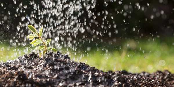 Smart Garden Irrigation Tips To Save Water