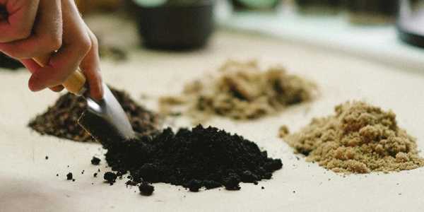 Best Soil Mix For Raised Beds And Container Gardens