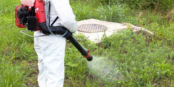 Mosquito Treatment Near Me: Finding Local Professionals